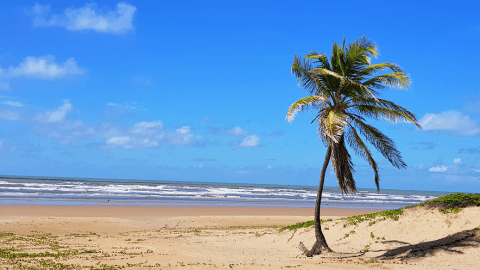 Descubra o melhor do verão em Sergipe
