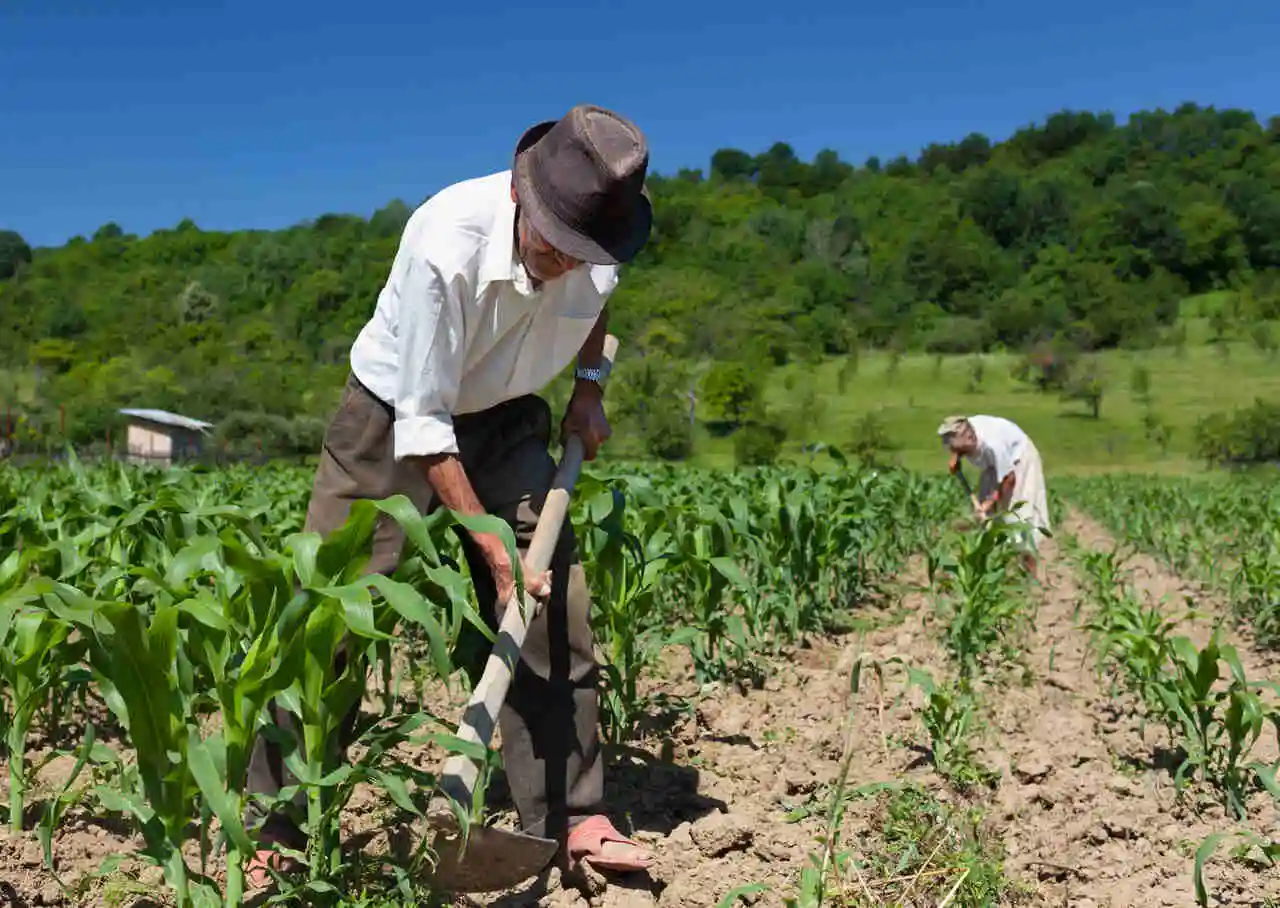 Entendendo a Aposentadoria Híbrida: Combinando Períodos de Trabalho Rural e Urbano
