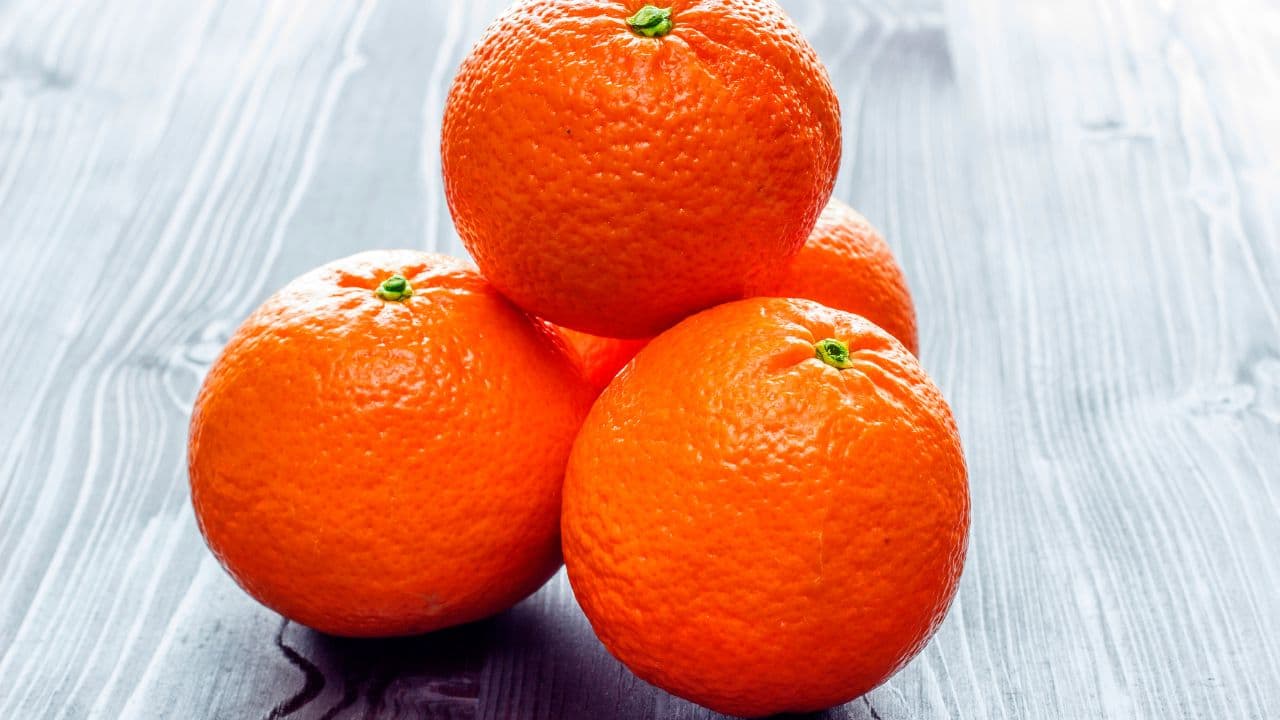 Mexerica é Bom Para Gripe? Benefícios da Fruta para a Saúde da Pessoa Idosa