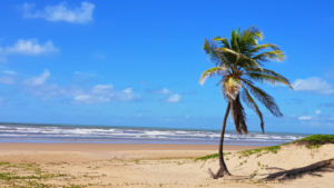 Descubra o verão no Sergipe