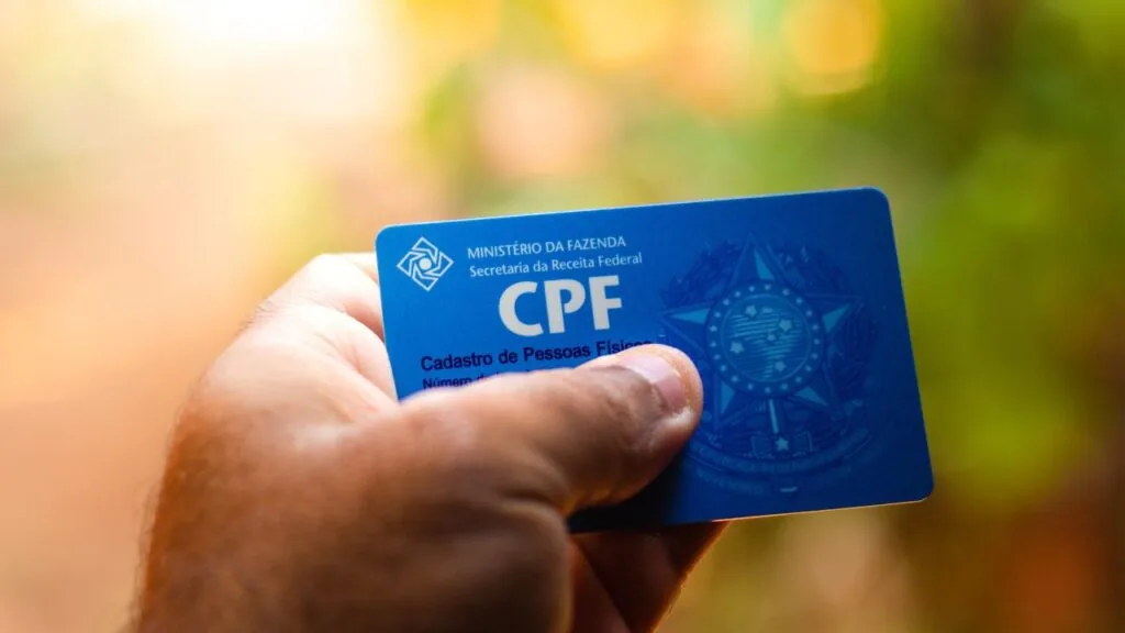 Dá para consultar CNIS pelo CPF