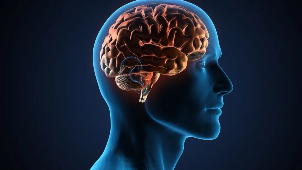 mav cerebral da direito a aposentadoria